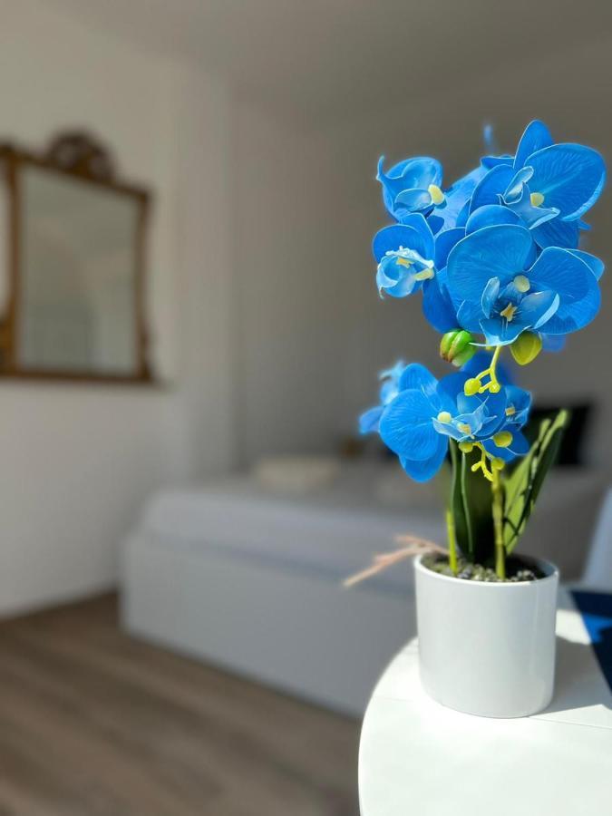 Fior Di Loto Suite - Lingotto Torino Eksteriør billede